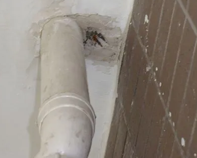 翔安漏水检测哪家好